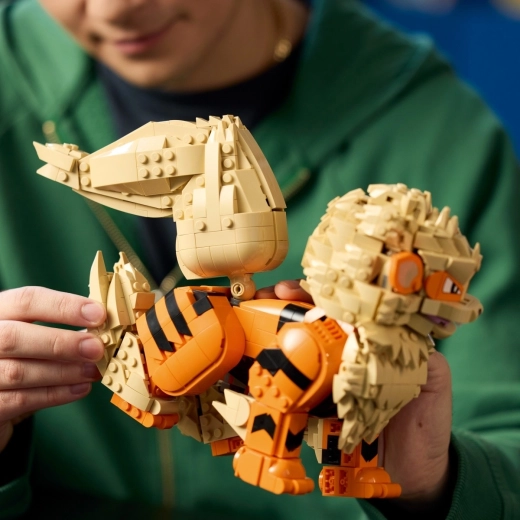 Costruzione con l’app LEGO Builder