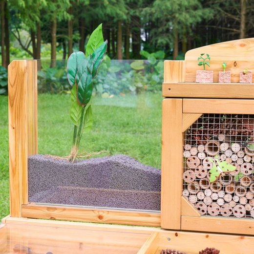 Pannello delle radici: osserva la crescita delle piante in tempo reale