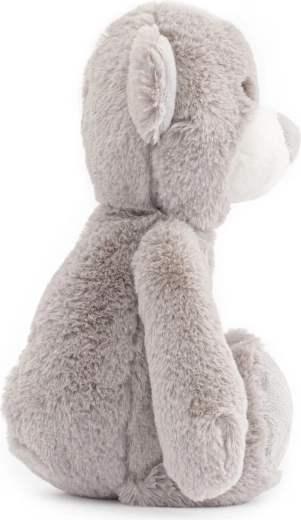 Supporto allo sviluppo dei sensi