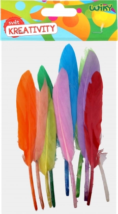 Set creativo di piumette decorative