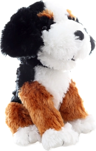 Dettagli sicuri per i più piccoli