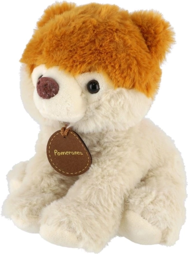 Mix variegato di modelli in confezione da 10 pezzi