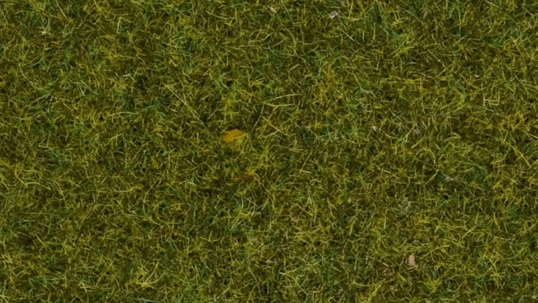 Erba statica Prato 4 mm