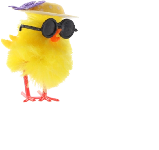 Dimensione universale per un facile allestimento