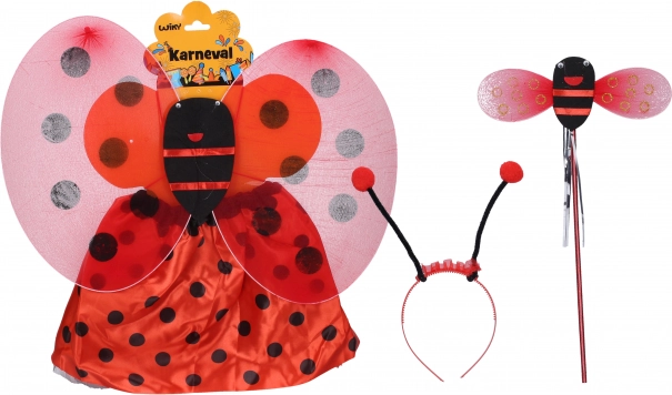 Costume di Carnevale Coccinella