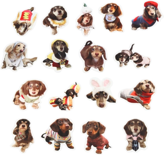 Dimensione ideale di 5 cm per la decorazione