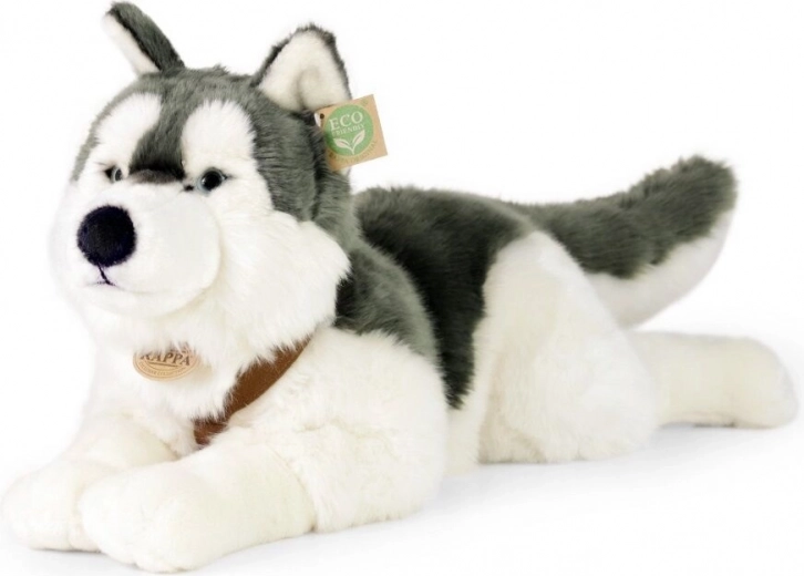Cane Husky in Peluche 60 cm ECO FRIENDLY