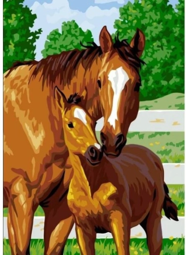 Mosaico di diamanti (diamond painting) tenero puledrino 30 × 40 cm