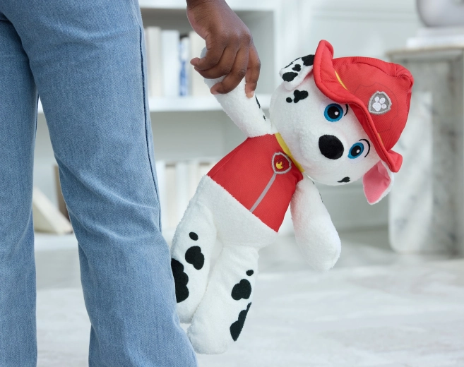 Per i piccoli fan di Paw Patrol