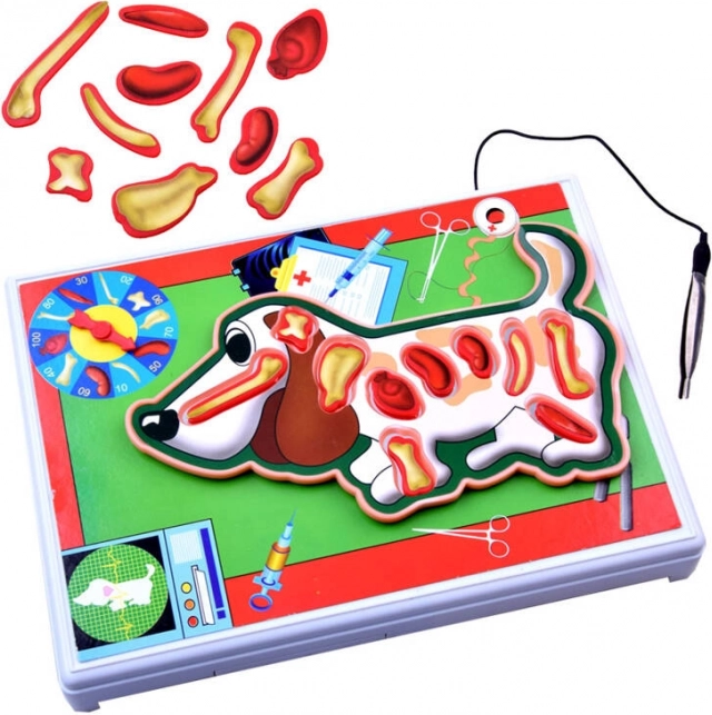Gioco elettronico giovane veterinario – cagnolino