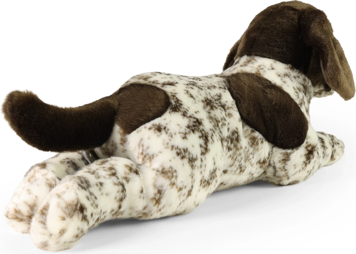 Sicuro fin dalla nascita