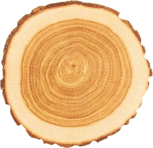 Aspetto naturale della fetta di legno