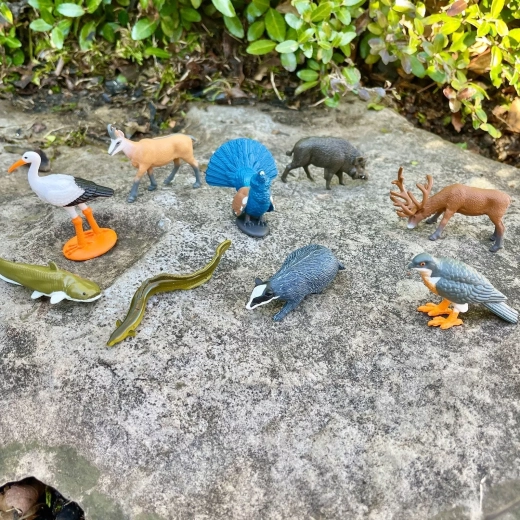 9 animali europei per imparare giocando