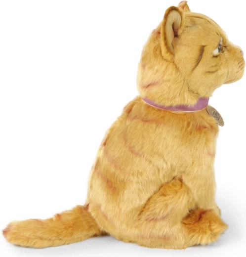 Adorabile gatto soriano seduto
