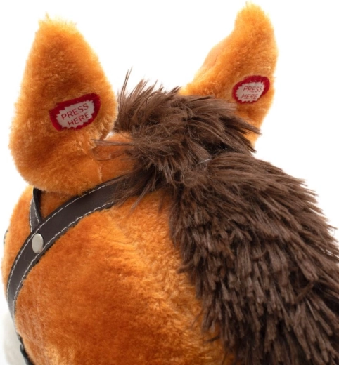 Orecchie interattive con suoni e melodia