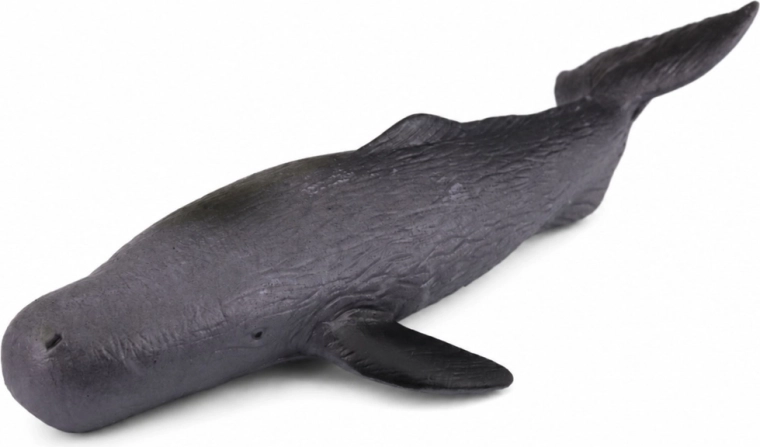 Aspetto realistico e texture dettagliata