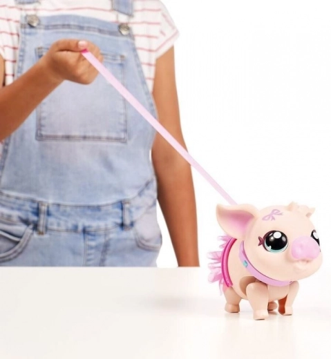 Passeggiate al guinzaglio e danza