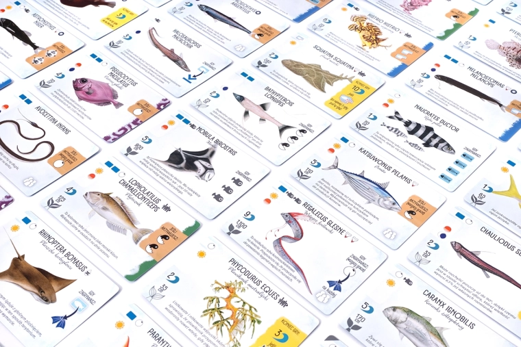 Carte di creature marine con icone chiare