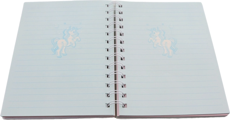 80 fogli a righe in due colori