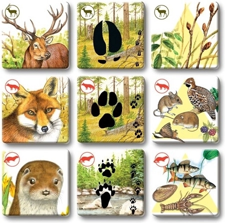 Carte resistenti per un uso frequente