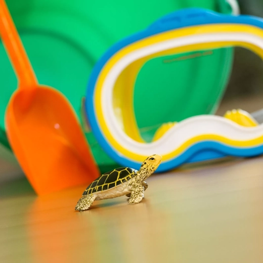 Dimensioni compatte per il gioco dei bambini