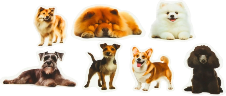 Sfondo trasparente per un look pulito