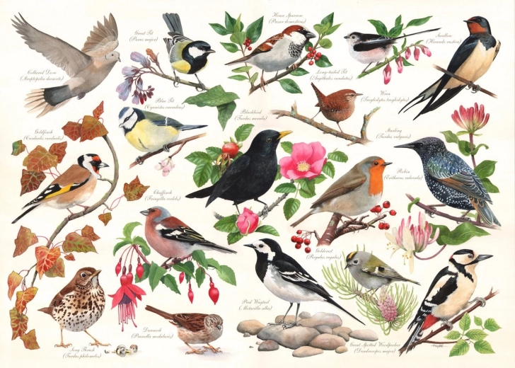 Puzzle Uccelli nel Giardino - 1000 Pezzi