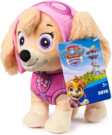 Skye – pilota rosa per piccoli avventurieri