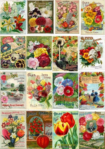 Puzzle Enjoy confezioni vintage di semi di fiori 1000 pezzi