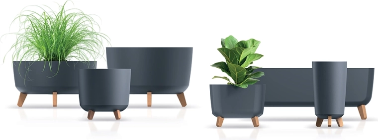 Condizioni migliori per le radici