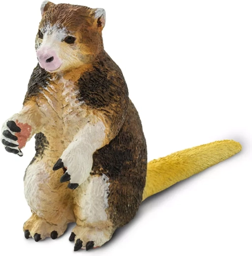 Figura di canguro di Matschie Safari Ltd.