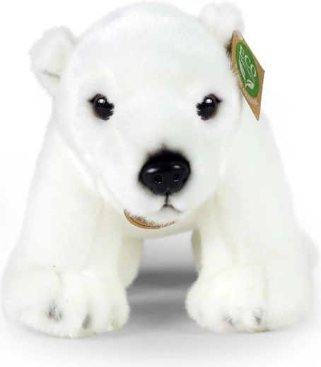 Morbidezza di cui ti innamorerai