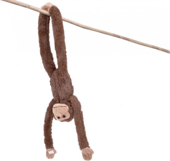 Design realistico della serie ZOO Collection