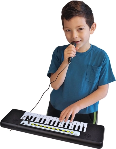 Microfono per la musica e il canto