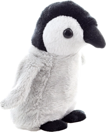 Seduta stabile grazie alle palline