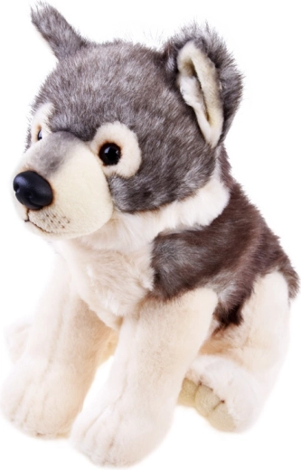 Aspetto realistico che stimola la fantasia