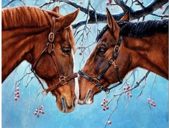 Pittura con i numeri su tela – Due cavalli 50 × 40 cm