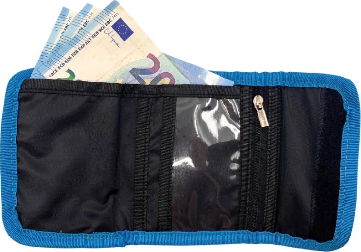 Interno ben organizzato per monete, banconote e carte