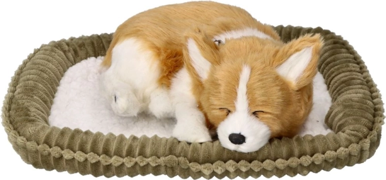 Morbido compagno per le coccole