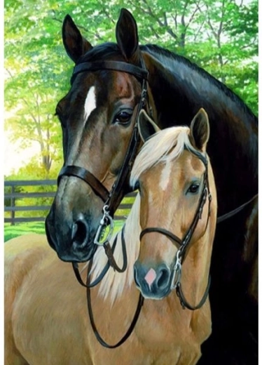 Quadro da dipingere con i numeri su telaio 40 × 50 cm – cavalli