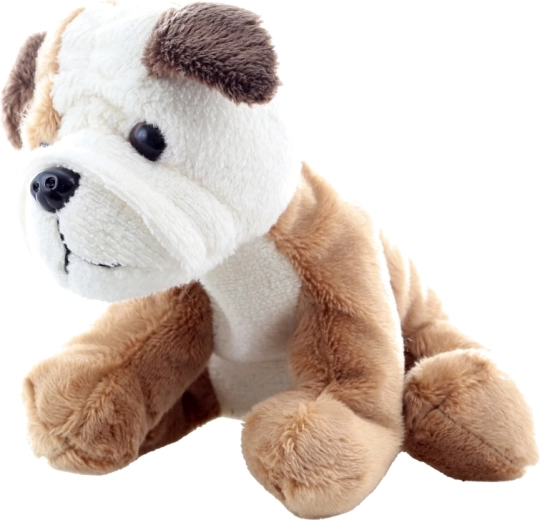 Sicuro per i più piccoli (0+)