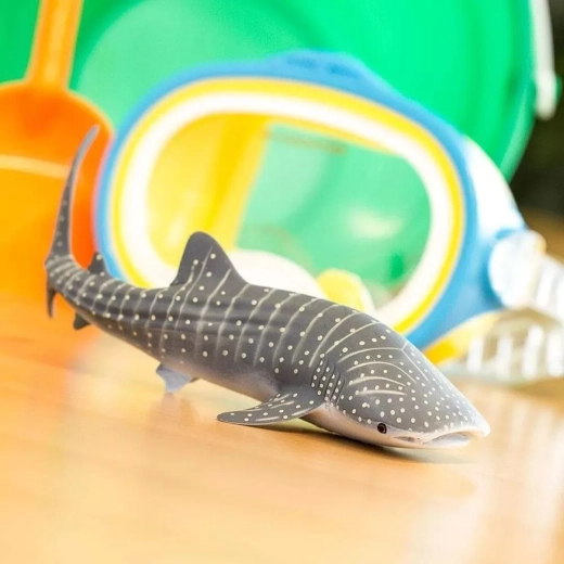 Imparare giocando sugli animali marini