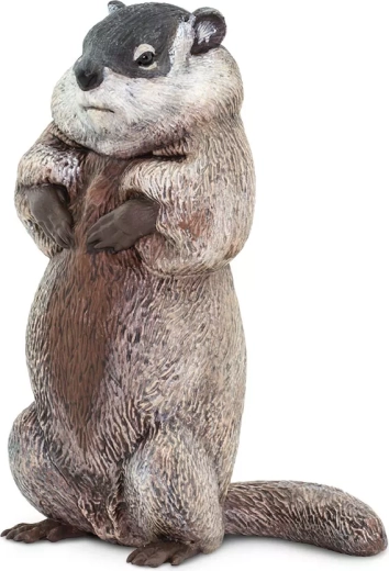 Safari Ltd. statuetta di marmotta - 1 pezzo
