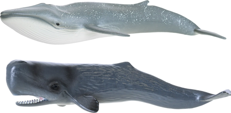 Dettagli realistici per un gioco fedele