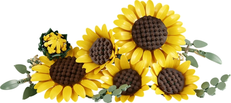 Sei girasoli per un bouquet ricco