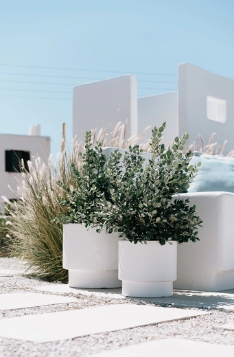 Aspetto elegante per interni ed esterni