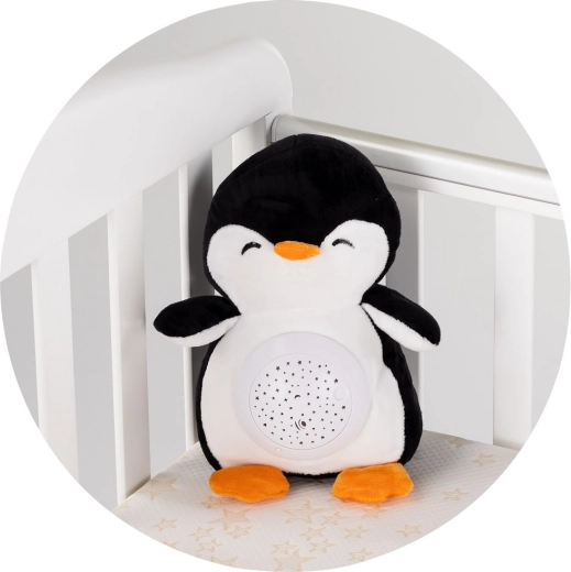 Manutenzione facile grazie al modulo rimovibile