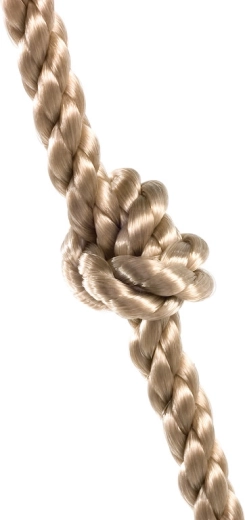 Struttura solida e resistente