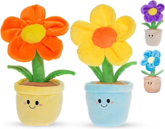 Sicuro fin dalla nascita (0+)