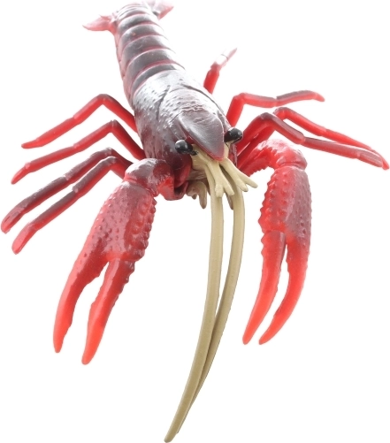 Dimensione ideale per la mano dei bambini